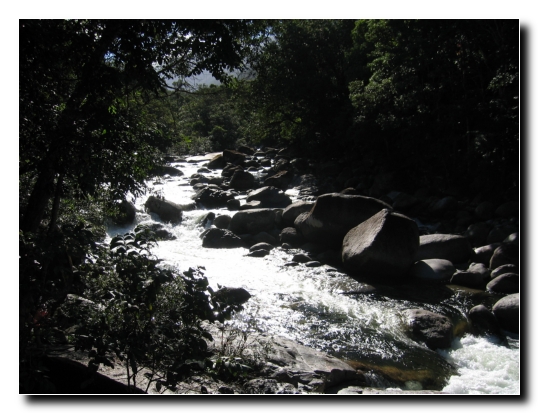 034 Mossman Gorge Walk